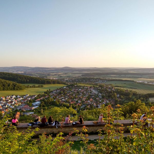 Fig2 IMG_20200623_210716_The view from Burg Plesse near Göttingen (Mareile Steinsiek)_sq