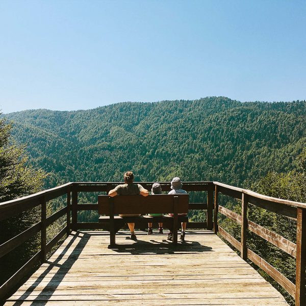 IE_IvaCaletaPlesa_NP_Risnjak_1_sq