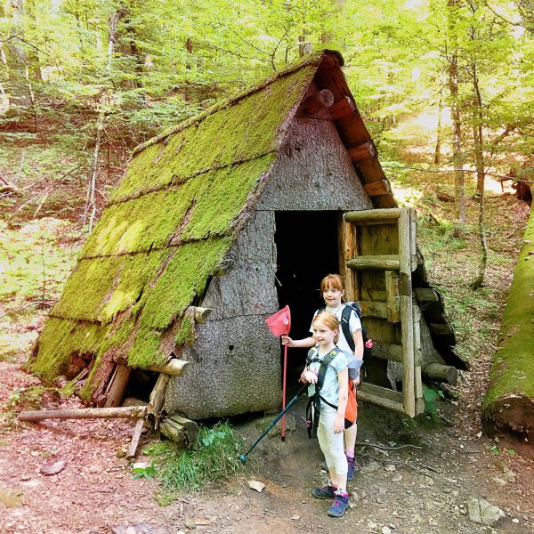 IE_IvaCaletaPlesa_NP_Risnjak_Leska_1_sq