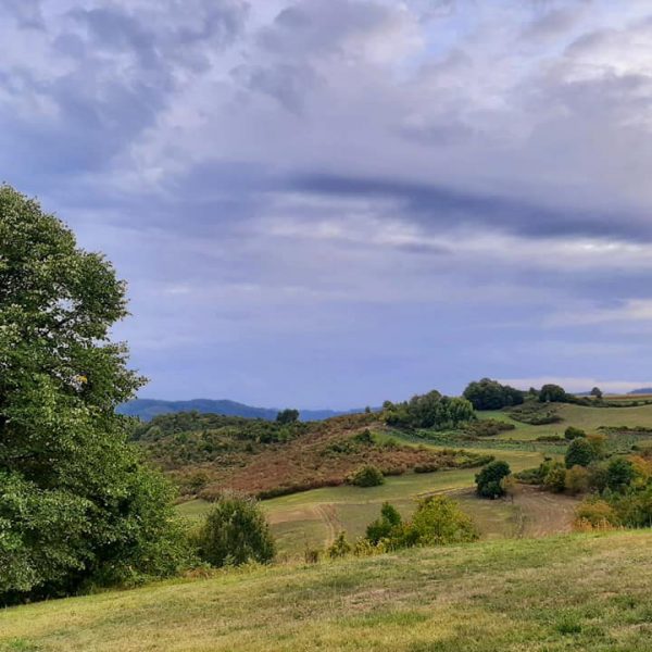 ©Silvija Jacić, Broken Landscape