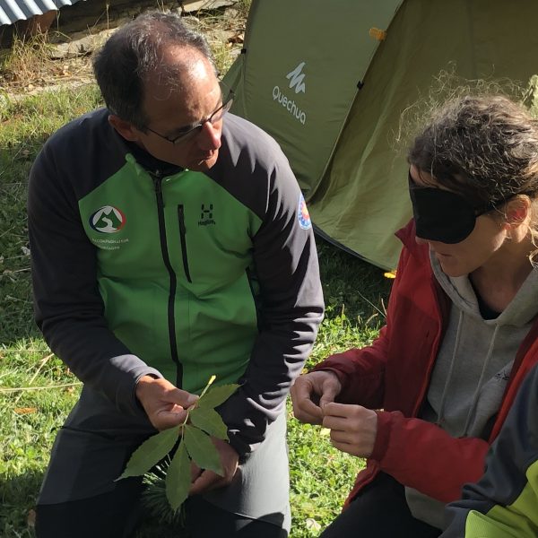 colvine_interpreting_for_visually_impaired_visitors ©Colvine, Interpreting for visually impaired visitors