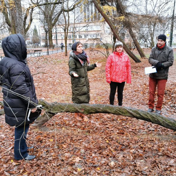 ludwig_iecit_krakow_2021_04 ©Thorsten Ludwig, IECIT Krakow