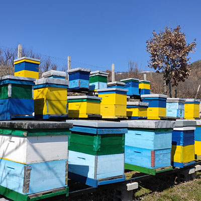 Apiary