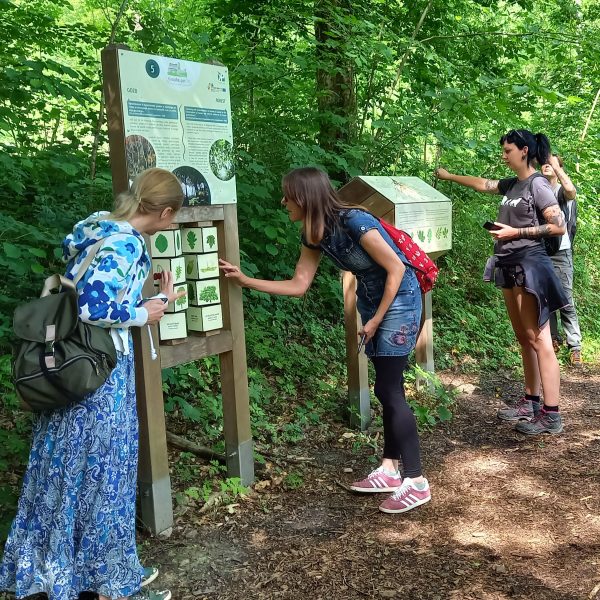 AnjaTrobec_GettingInspiredByAnExistingInterpretiveTrail