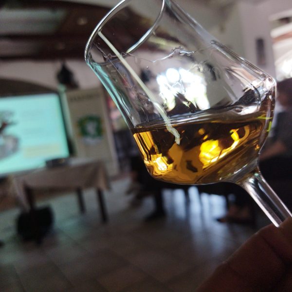 David Nedelkovski_What training isn't improved by wine David Nedelkovski What training isn’t made better with wine?!