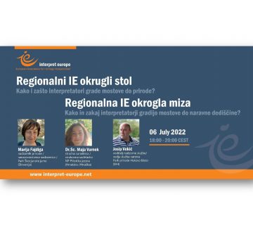 Promotional banner for the IE’s regional panel (IE)