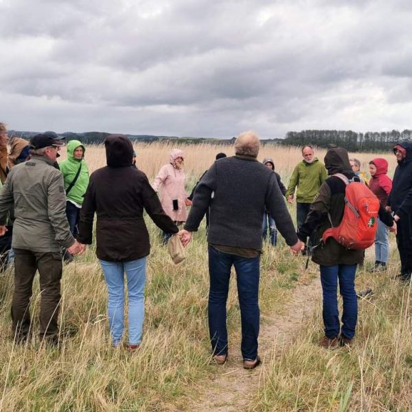 Ludwig_Personal_experience_of_reeds