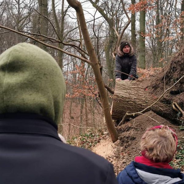 Ludwig_What_happend_to_this_Tree Thorsten Ludwig: What happend to this tree?