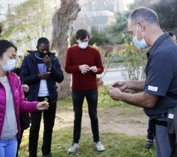 Re-engaging our senses - touch and smell, Images: Evarist March Sarlat