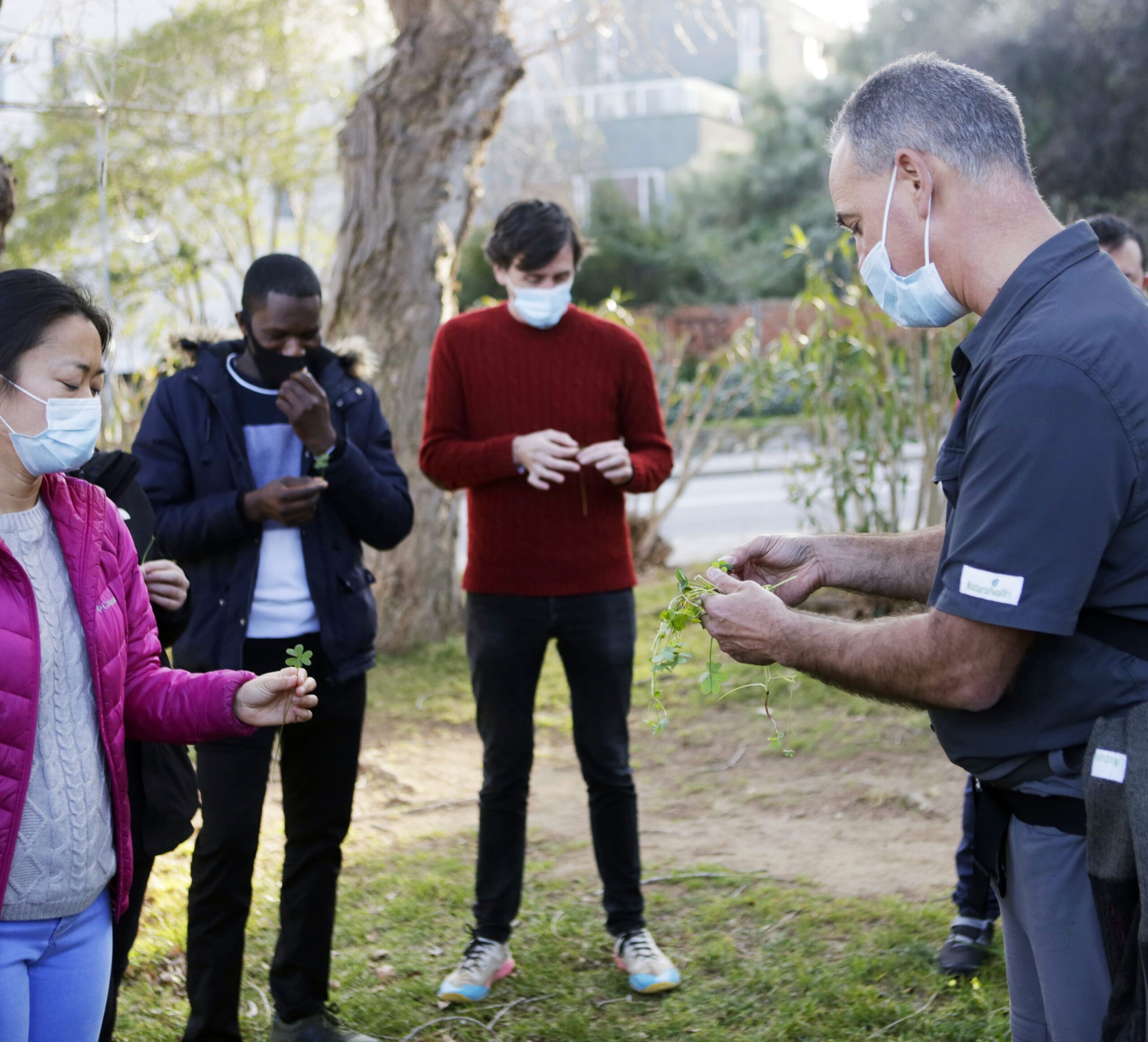 Re-engaging our senses - touch and smell, Images: Evarist March Sarlat