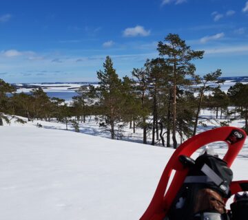 Walking through a wintry cultural landscape, Image: Anna Carlemalm