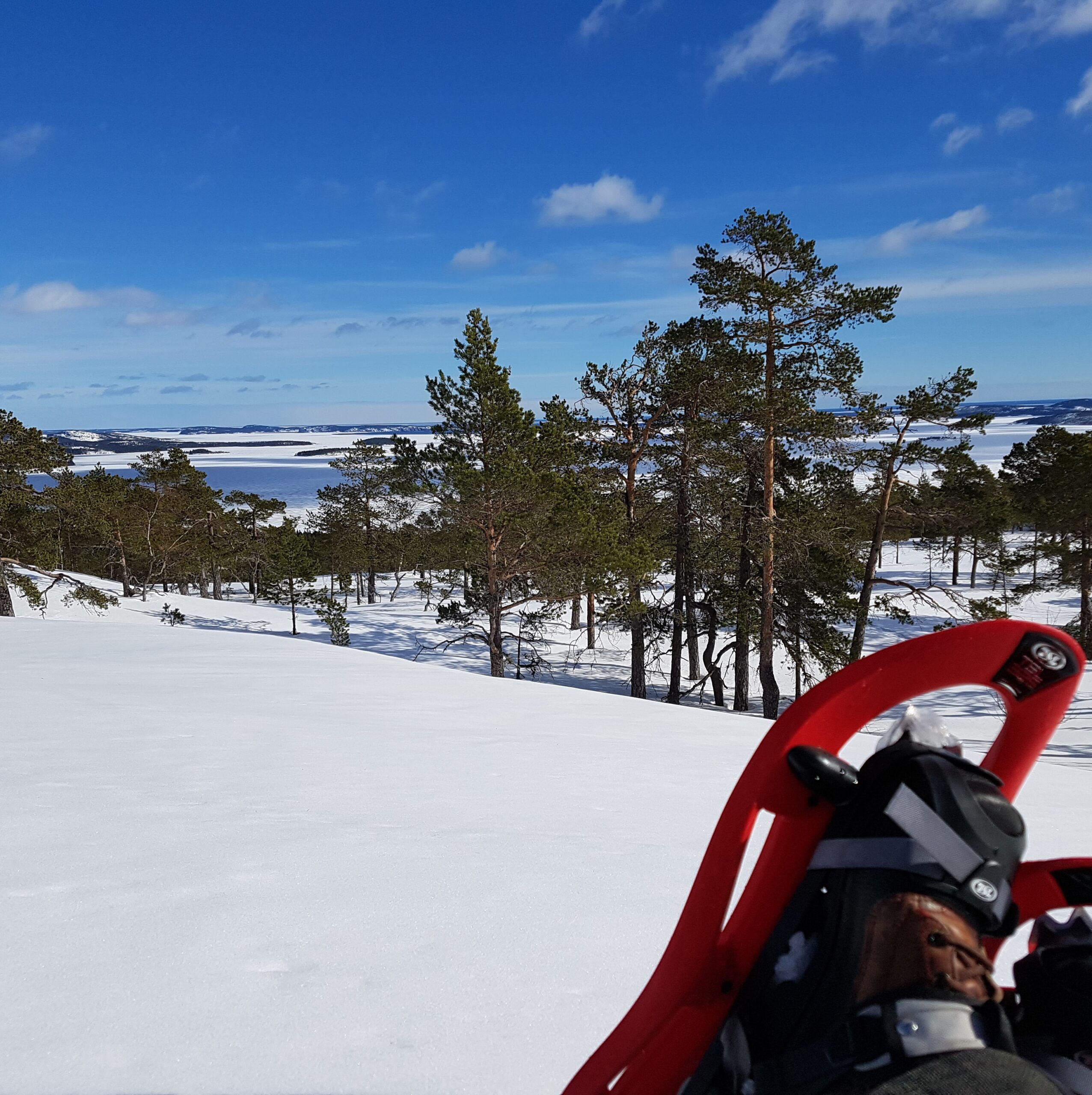 Walking through a wintry cultural landscape, Image: Anna Carlemalm